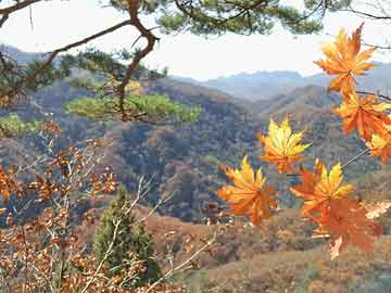 【建投钢铁】11月汽车产销量同比大增，白电线下零售额增幅明显